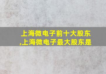 上海微电子前十大股东,上海微电子最大股东是