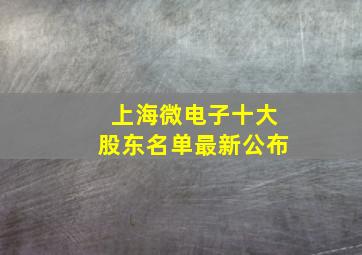 上海微电子十大股东名单最新公布