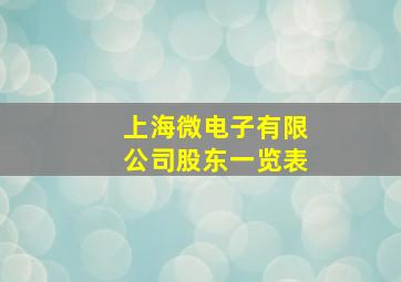 上海微电子有限公司股东一览表