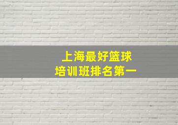 上海最好篮球培训班排名第一