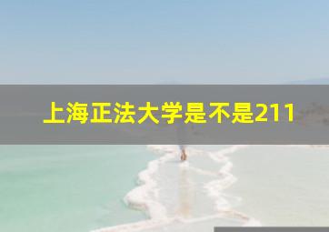 上海正法大学是不是211