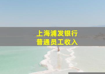 上海浦发银行普通员工收入