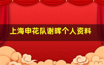 上海申花队谢晖个人资料