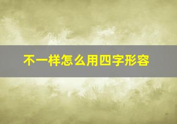 不一样怎么用四字形容