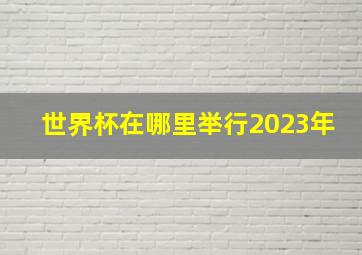 世界杯在哪里举行2023年