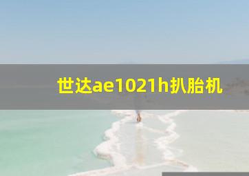 世达ae1021h扒胎机