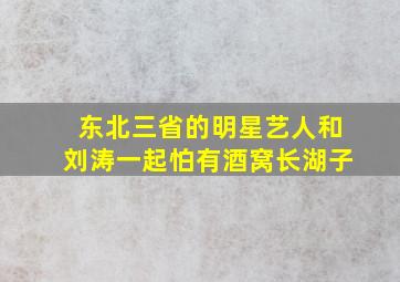 东北三省的明星艺人和刘涛一起怕有酒窝长湖子