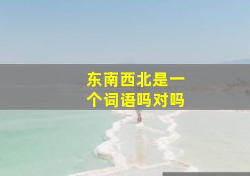 东南西北是一个词语吗对吗