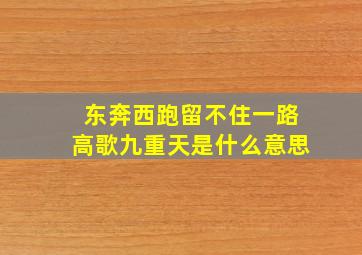 东奔西跑留不住一路高歌九重天是什么意思