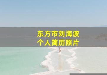 东方市刘海波个人简历照片