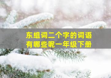 东组词二个字的词语有哪些呢一年级下册