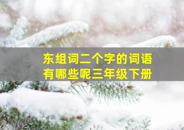 东组词二个字的词语有哪些呢三年级下册