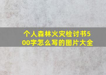 个人森林火灾检讨书500字怎么写的图片大全