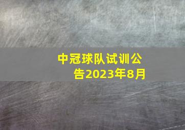 中冠球队试训公告2023年8月