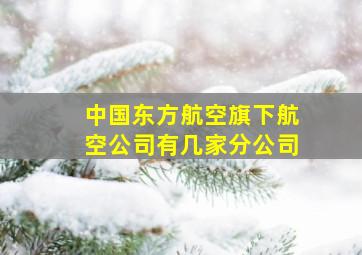 中国东方航空旗下航空公司有几家分公司