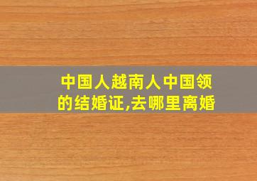 中国人越南人中国领的结婚证,去哪里离婚