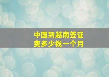 中国到越南签证费多少钱一个月