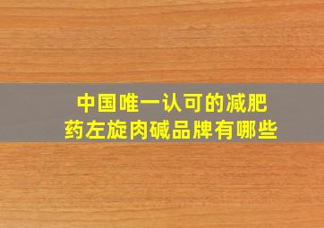 中国唯一认可的减肥药左旋肉碱品牌有哪些