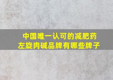 中国唯一认可的减肥药左旋肉碱品牌有哪些牌子