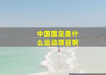 中国国足是什么运动项目啊