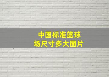 中国标准篮球场尺寸多大图片