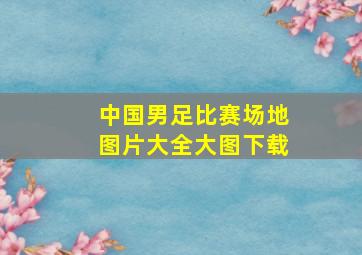 中国男足比赛场地图片大全大图下载