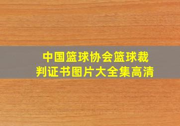 中国篮球协会篮球裁判证书图片大全集高清