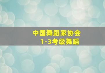 中国舞蹈家协会1-3考级舞蹈