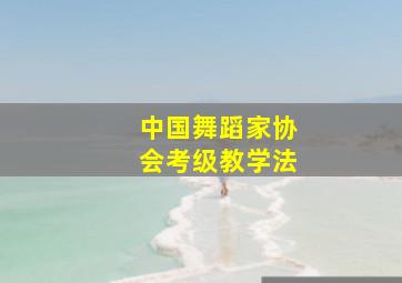 中国舞蹈家协会考级教学法