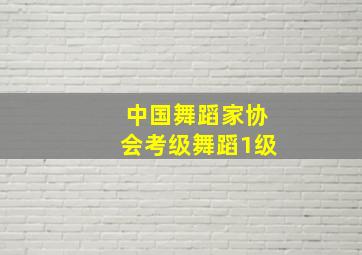 中国舞蹈家协会考级舞蹈1级