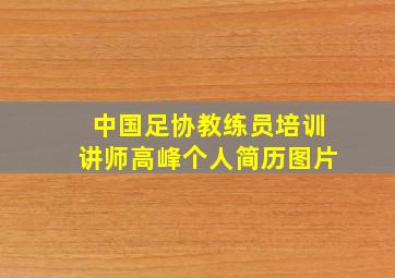 中国足协教练员培训讲师高峰个人简历图片