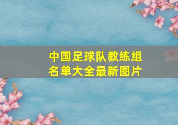 中国足球队教练组名单大全最新图片