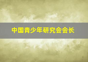 中国青少年研究会会长