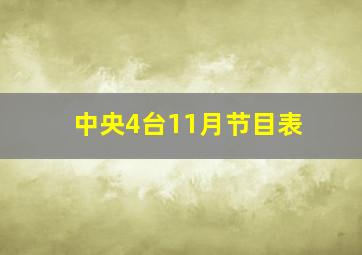 中央4台11月节目表