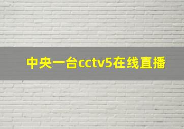 中央一台cctv5在线直播