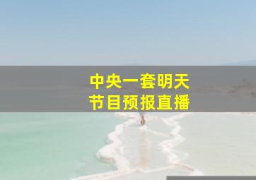 中央一套明天节目预报直播