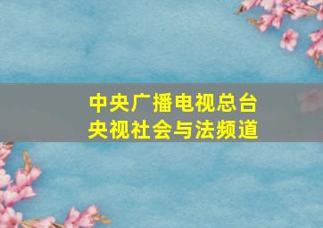 中央广播电视总台央视社会与法频道