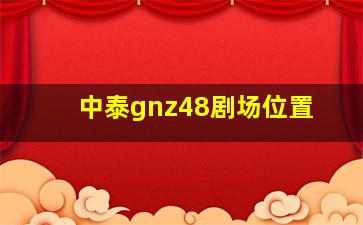 中泰gnz48剧场位置