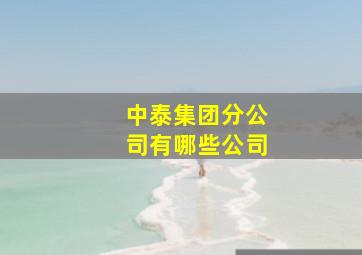 中泰集团分公司有哪些公司