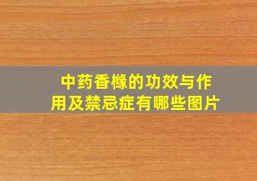 中药香橼的功效与作用及禁忌症有哪些图片