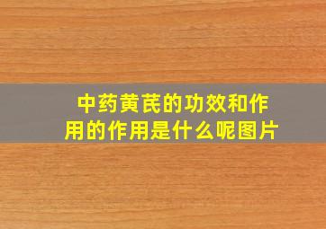 中药黄芪的功效和作用的作用是什么呢图片