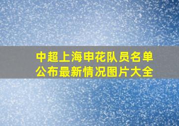 中超上海申花队员名单公布最新情况图片大全