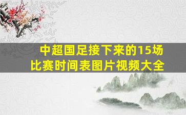 中超国足接下来的15场比赛时间表图片视频大全