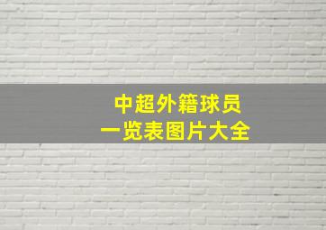 中超外籍球员一览表图片大全