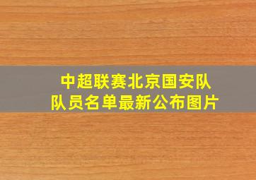 中超联赛北京国安队队员名单最新公布图片