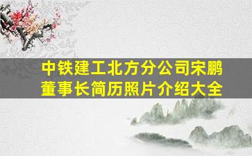 中铁建工北方分公司宋鹏董事长简历照片介绍大全