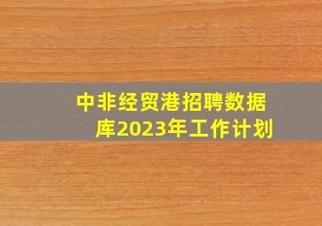 中非经贸港招聘数据库2023年工作计划