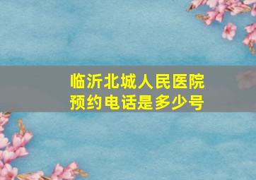 临沂北城人民医院预约电话是多少号