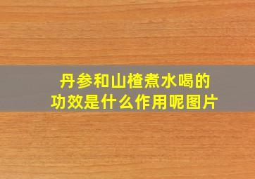 丹参和山楂煮水喝的功效是什么作用呢图片