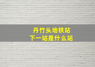 丹竹头地铁站下一站是什么站